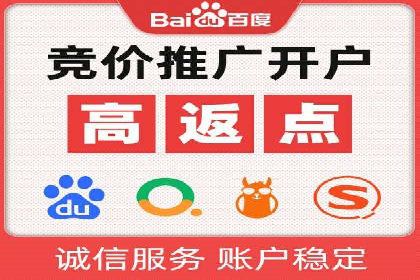 百度竞价广告的投放策略与成功案例分析