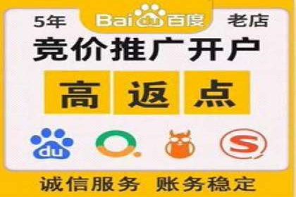 SEM主管实战经验：案例分析及反思